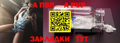 амф Кингисепп