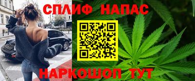 амф Кингисепп