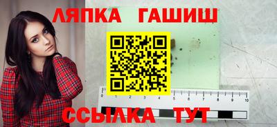 амф Кингисепп