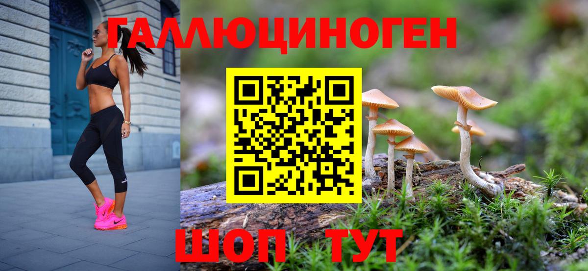 Псилоцибиновые грибы Psilocybe Кропоткин